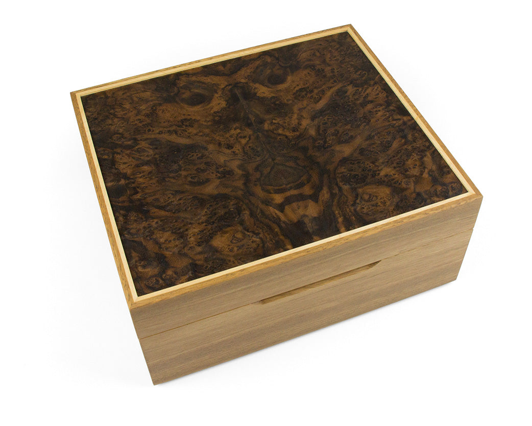Watch box handcrafted from Spotted Gum